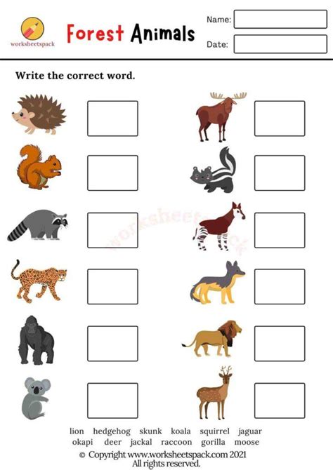 Free Printable Forest Animals Worksheet Kindergarten Worksheets And Ranforest Animals Worksheet Kindergarten - Ranforest Animals Worksheet Kindergarten