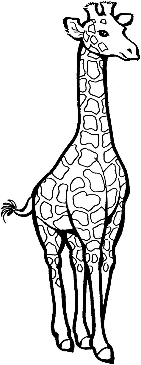Free Printable Giraffe Coloring Pages Crafts Kids Love Giraffe Pictures To Color - Giraffe Pictures To Color