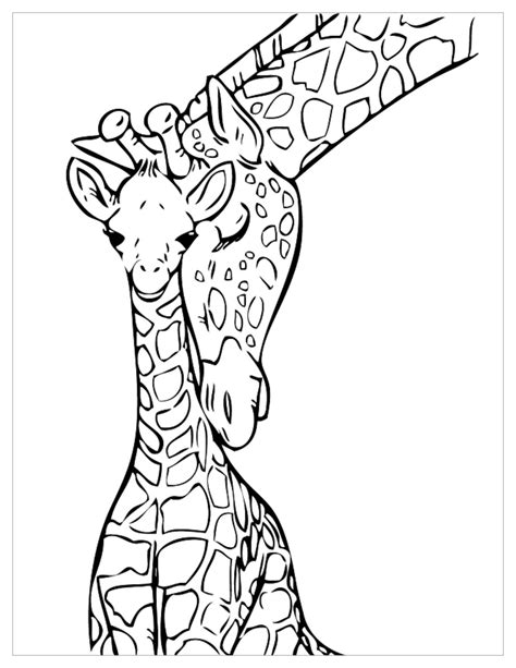Free Printable Giraffe Coloring Pages For Kids Cool2bkids Giraffe Pictures To Color - Giraffe Pictures To Color