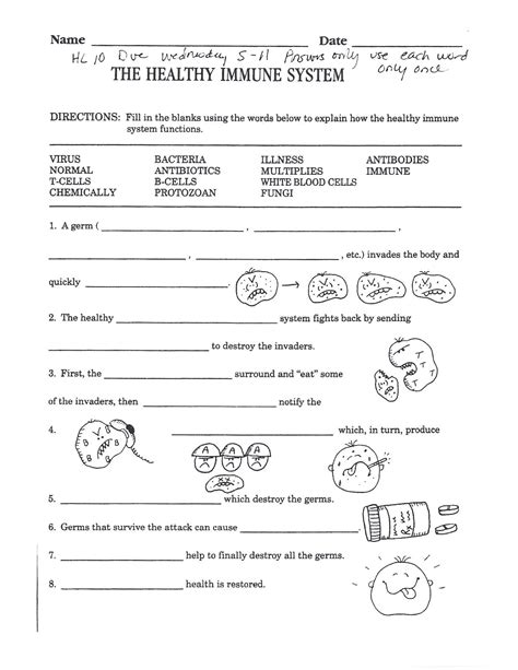 Free Printable Health Worksheets For Middle School Blood Type Worksheet Middle School - Blood Type Worksheet Middle School