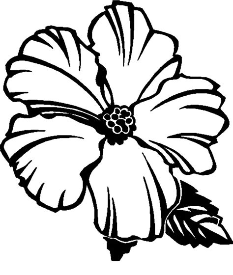 Free Printable Hibiscus Coloring Pages For Kids Hibiscus Flower Coloring Pages - Hibiscus Flower Coloring Pages