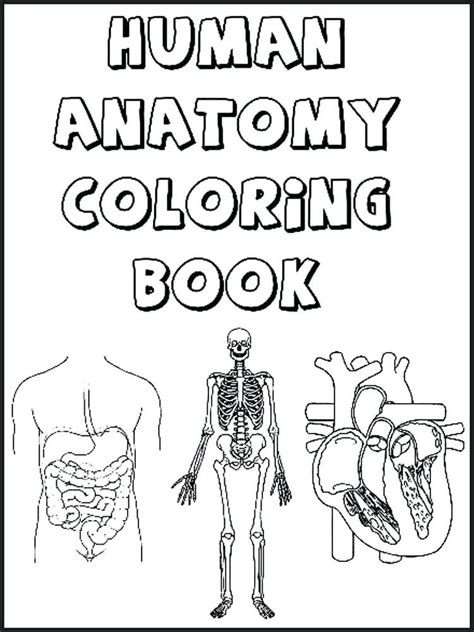 Free Printable Human Body Coloring Pages For Kids Healthy Body Coloring Pages - Healthy Body Coloring Pages