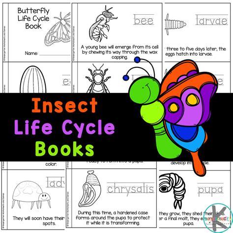 Free Printable Insect Life Cycle Mini Book Preschool Bug Worksheets - Preschool Bug Worksheets