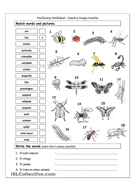 Free Printable Insect Worksheets For Kids Preschool Insect Worksheets - Preschool Insect Worksheets
