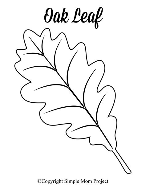 Free Printable Large Leaf Templates Stencils And Patterns Leaf Patterns For Preschool - Leaf Patterns For Preschool