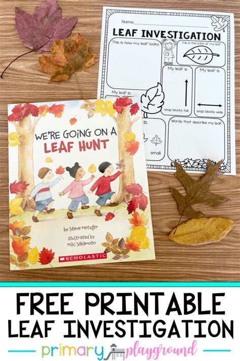Free Printable Leaf Investigation Primary Playground Leaf Activity Worksheet - Leaf Activity Worksheet