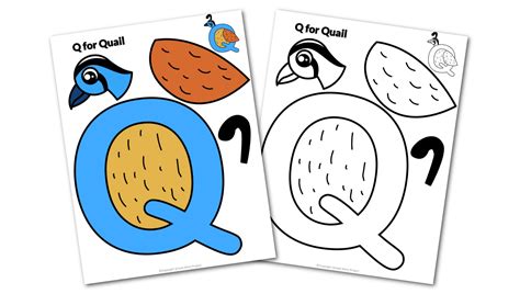 Free Printable Letter Q Craft Template Simple Mom Kindergarten Quail Worksheet - Kindergarten Quail Worksheet