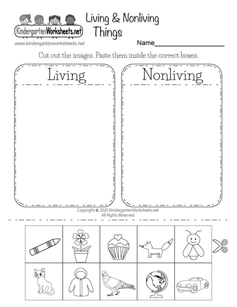 Free Printable Life Science Worksheets For 6th Grade Science Worksheets For 6th Grade - Science Worksheets For 6th Grade
