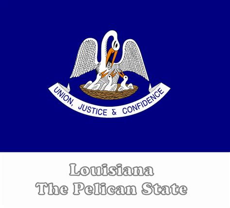 Free Printable Louisiana State Flag Amp Color Book Louisiana State Flag Coloring Page - Louisiana State Flag Coloring Page
