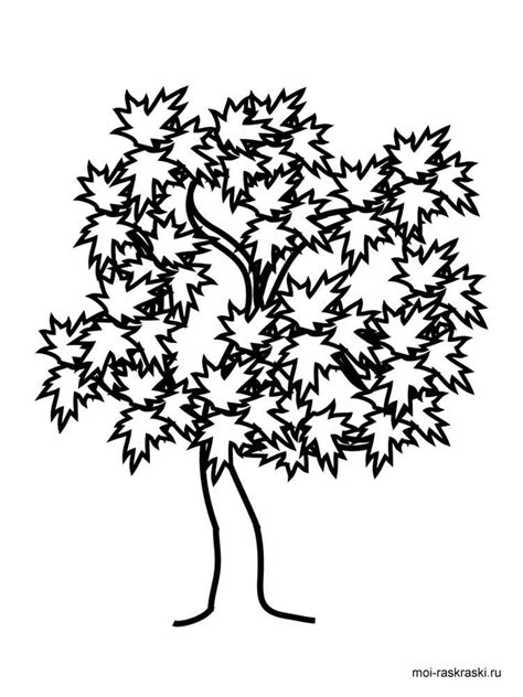 Free Printable Maple Tree Coloring Pages For Kids Maple Tree Coloring Pages - Maple Tree Coloring Pages