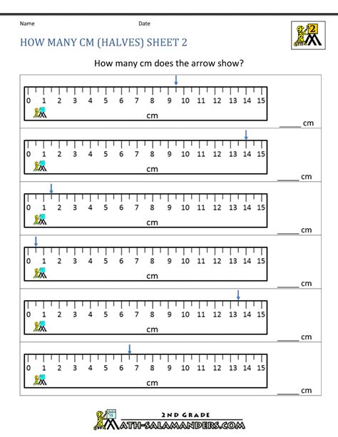 Free Printable Measurement Worksheets For 6th Grade Quizizz 6th Grade Measurement Worksheet Packet - 6th Grade Measurement Worksheet Packet