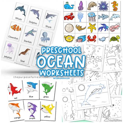 Free Printable Ocean Worksheets Little Bins For Little Ocean Animals Science Worksheet Kindergarten - Ocean Animals Science Worksheet Kindergarten