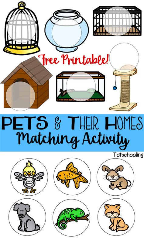 Free Printable Pet Activities For Preschool And Kindergarten Pet Science Activities For Preschoolers - Pet Science Activities For Preschoolers