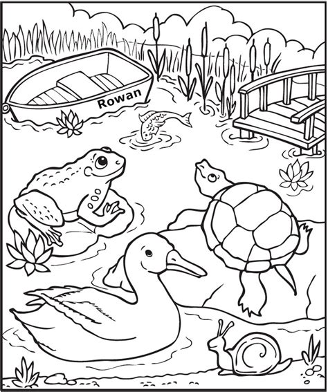 Free Printable Pond Animals Color By Number Worksheets Pond Life Coloring Page - Pond Life Coloring Page