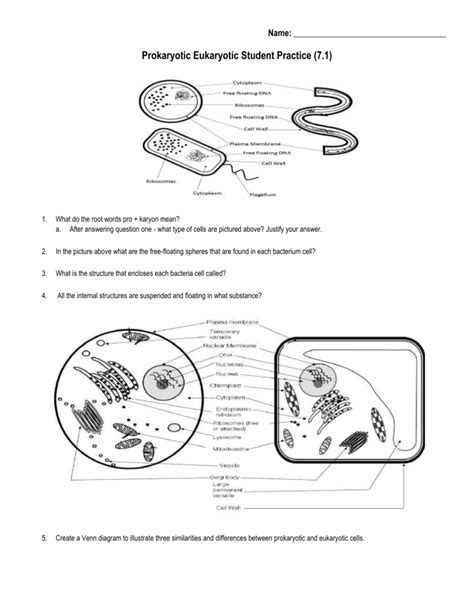 Free Printable Prokaryotes And Eukaryotes Worksheets Quizizz Prokaryotic Cells Vs Eukaryotic Cells Worksheet - Prokaryotic Cells Vs Eukaryotic Cells Worksheet