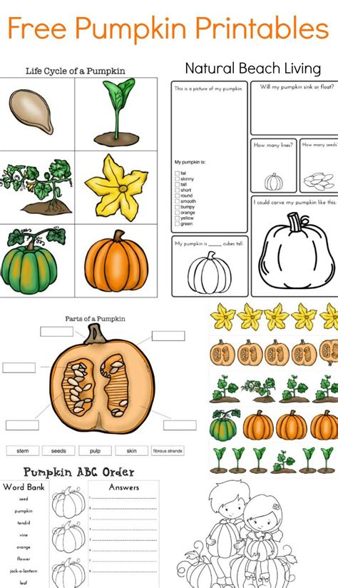 Free Printable Pumpkin Science Worksheets For Kids Science Activities With Pumpkins - Science Activities With Pumpkins