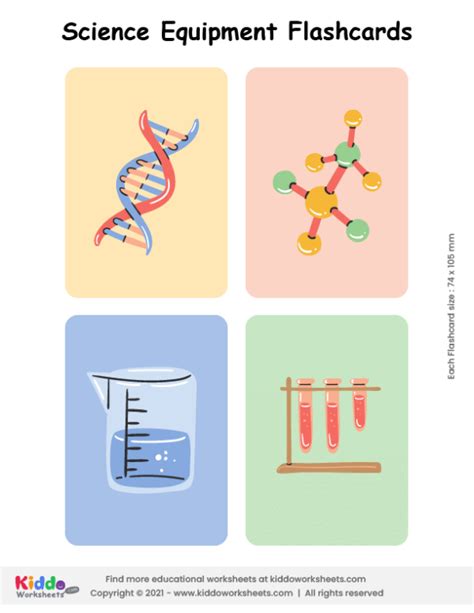 Free Printable Science Equipment Flashcards Kiddoworksheets Science Equipment Worksheets - Science Equipment Worksheets