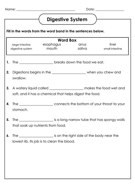 Free Printable Science Worksheets For 4th Grade Quizizz Nc 4th Grade Science Worksheet - Nc 4th Grade Science Worksheet