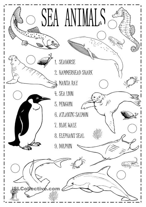 Free Printable Sea Animals Worksheets Worksheetspack Sea Animals Worksheet - Sea Animals Worksheet