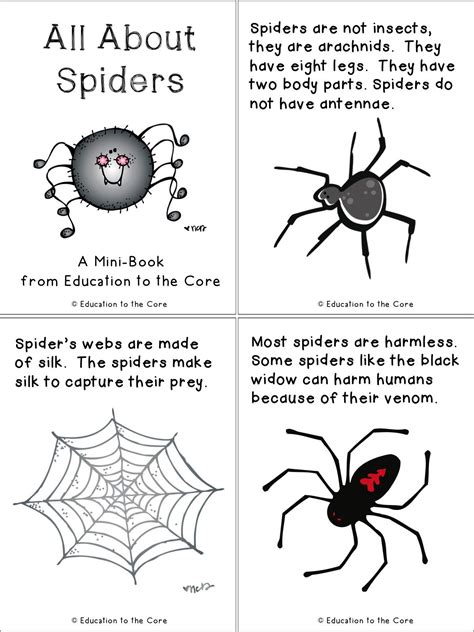 Free Printable Spider Activities Learn Spider Parts Vocabulary Spider Worksheet For Kindergarten - Spider Worksheet For Kindergarten
