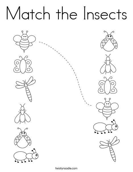 Free Printable Spring Insect Worksheets For Kids 123 Insects Worksheets For Preschool - Insects Worksheets For Preschool