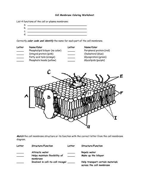 Free Printable The Cell Membrane Worksheets For 11th 11 Grade Cell Membrane Worksheet - 11 Grade Cell Membrane Worksheet