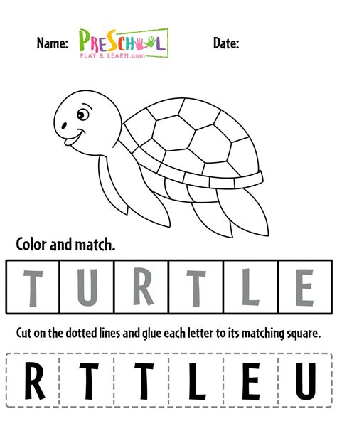 Free Printable Turtle Worksheets For Preschool Theme Turtle Worksheets For Preschool - Turtle Worksheets For Preschool