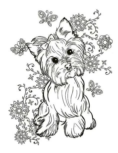 Free Printable Yorkie Coloring Pages For Kids Printable Yorkie Coloring Pages - Printable Yorkie Coloring Pages