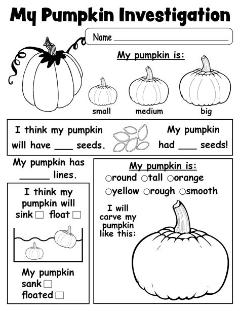 Free Quot Pumpkin Investigation Quot Worksheet Book For Pumpkin Prediction Worksheet Kindergarten - Pumpkin Prediction Worksheet Kindergarten