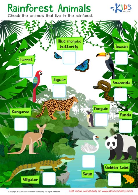 Free Rainforest Worksheets For Kindergarten Rainforest Worksheets For Kindergarten - Rainforest Worksheets For Kindergarten