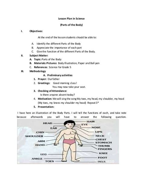 Free Science Lesson Plans Human Body For Elementary Elementary School Science Lesson Plan - Elementary School Science Lesson Plan