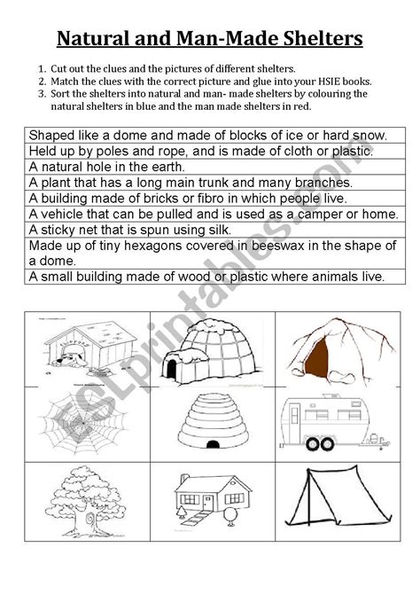 Free Science Worksheets Activity Shelter Science World Worksheets - Science World Worksheets