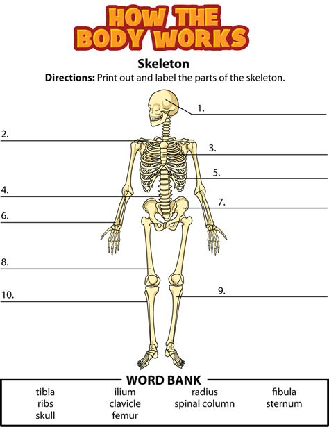 Free Skeletal System Worksheets And Printables Homeschool Giveaways Labeling Skeleton Worksheet - Labeling Skeleton Worksheet