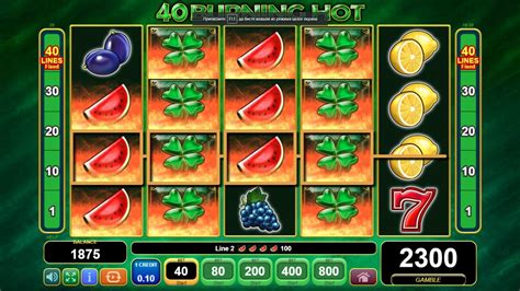 free slots 40 burning hot roun france