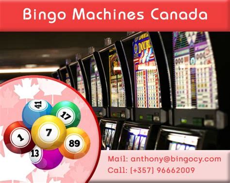 free slots bingo games ncqi canada