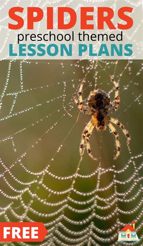 Free Spider Preschool Lesson Plans Stay At Home Spider Template For Preschool - Spider Template For Preschool
