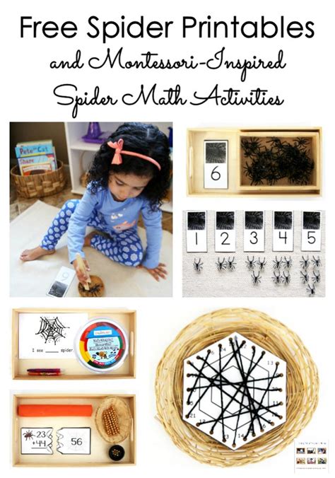 Free Spider Printables And Montessori Inspired Spider Activities Spider Worksheet For Kindergarten - Spider Worksheet For Kindergarten