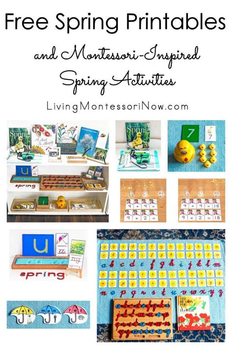 Free Spring Printables And Montessori Inspired Spring Math Montessori Math Activities For Preschoolers - Montessori Math Activities For Preschoolers
