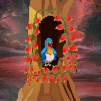 Free The Bird Walkthrough