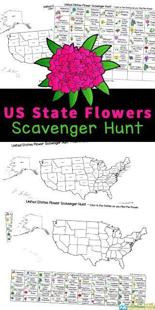 Free Usa State Flowers Scavenger Hunt Printables For 4th Grade States Flower Worksheet - 4th Grade States Flower Worksheet