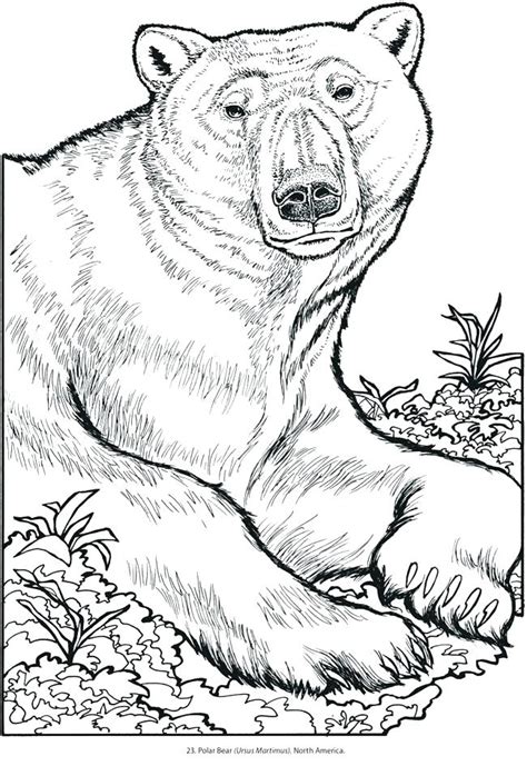 Free Wildlife Coloring Book North By Nature North American Animals Coloring Pages - North American Animals Coloring Pages
