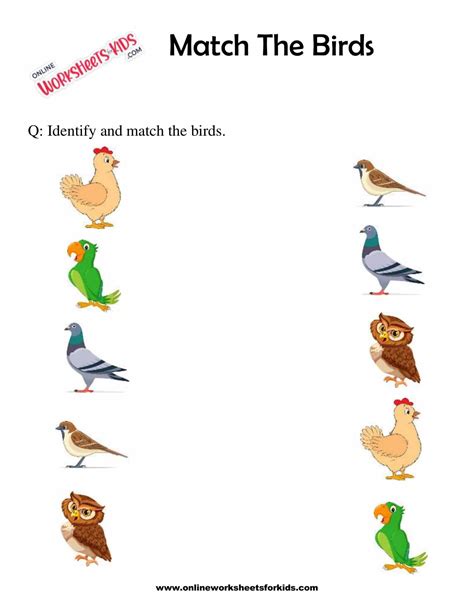 Free Worksheets Match The Birds With Their Names Birds Worksheet For Grade 3 - Birds Worksheet For Grade 3