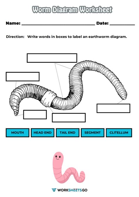 Free Worm Worksheets Measuring Worms Worksheet - Measuring Worms Worksheet