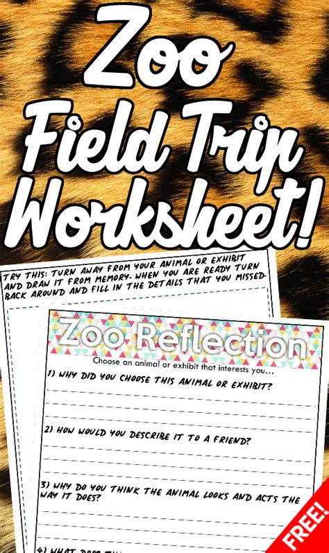 Free Zoo Field Trip Worksheet And Animal Reports Zoo Preschool Worksheets - Zoo Preschool Worksheets