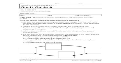 Full Download Free Atp Study Guide 