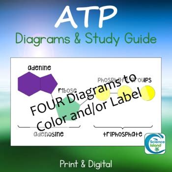 Full Download Free Atp Study Guide 