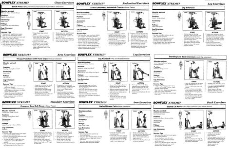 Read Free Bowflex Exercise Guide Manual 