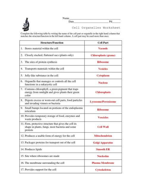 Full Download Free Download Cell Exploration Activities Answer Key 