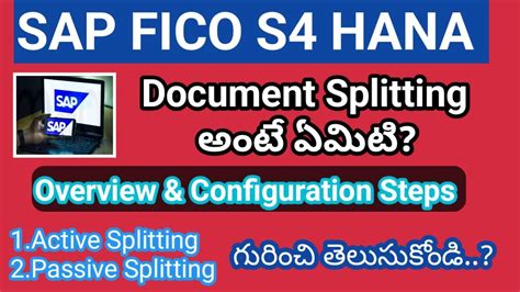 Download Free Download Sap Fico Document Splitting Configuration With Screenshots 