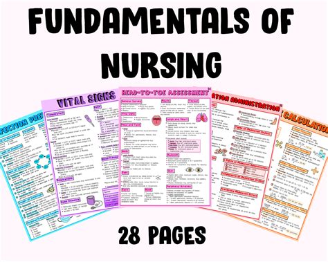 Read Free Nursing Fundamentals Study Guide 